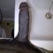 Big blk cock for great fun times