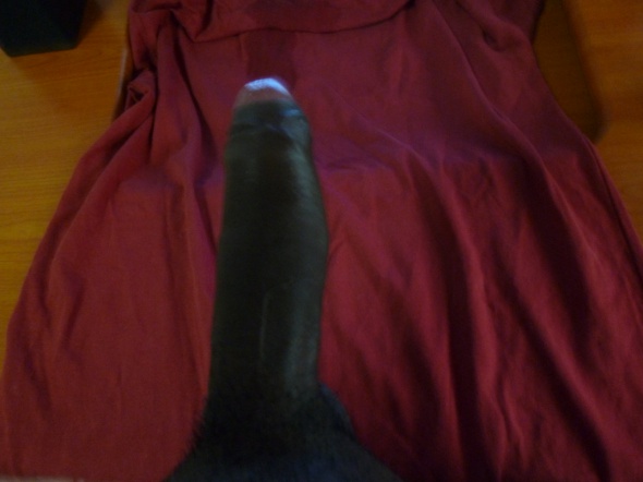 Young Tender Black Lusty Cock