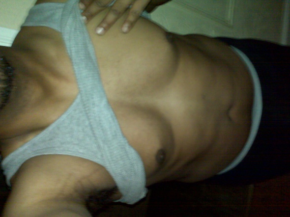 Brooklyn Bull in Michigan