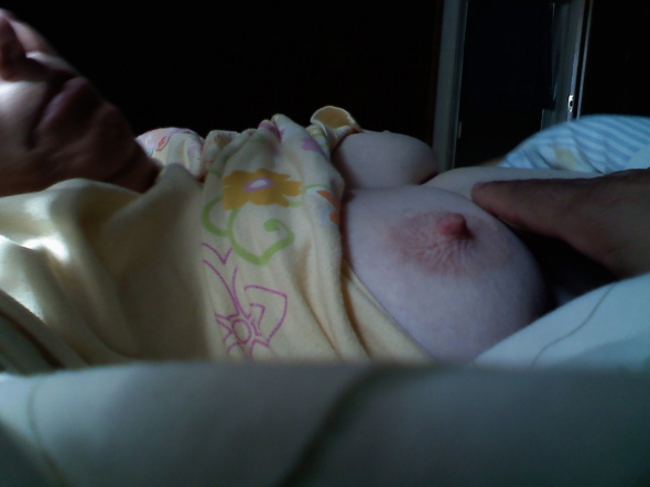 Looking for my first BBC Bull Looking for my first BBC Bull