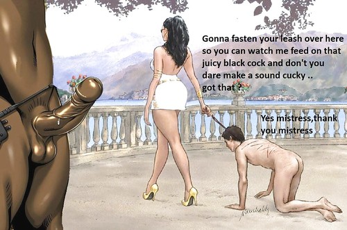 Proper pecking order! Proper pecking order!