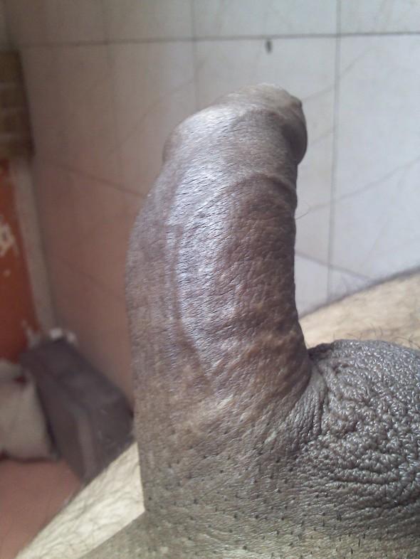 monster dick with circcum and full balls for white lady monster dick with circcum and full balls for white lady