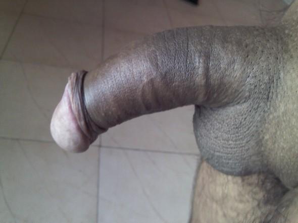 monster dick with circcum and full balls for white lady monster dick with circcum and full balls for white lady