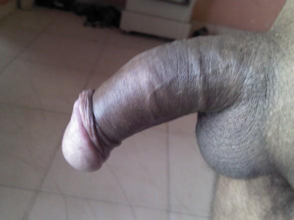 monster  dick with circcum and full balls for white lady
