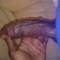 My black penis