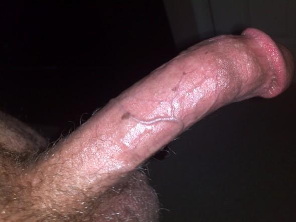My light skinned cock