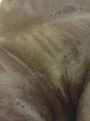 hi im sofia 28yrs old latina craving a bbc