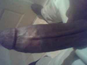 BIG BLACK JUICY COCK LOOKING FOR SOME WET TIGHT PUSSY BIG BLACK JUICY COCK LOOKING FOR SOME WET TIGHT PUSSY