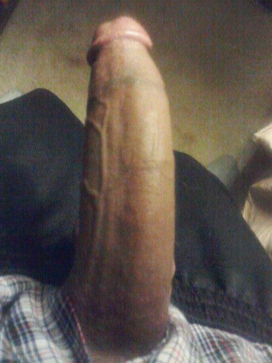 I need a sexy white lady to fuck my dick