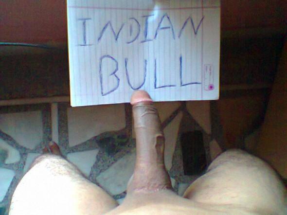 Indian Bull Porn - Any Woman Want Indian Cock - Amateur Interracial Porn
