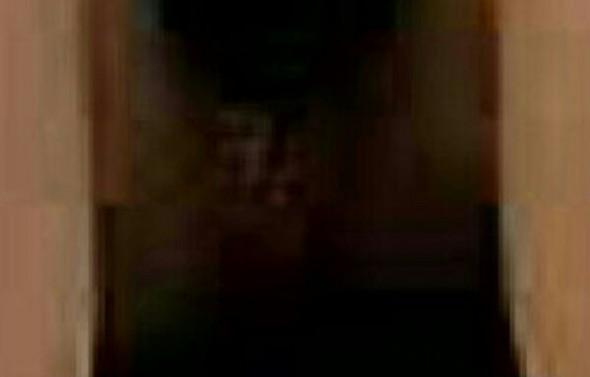 My girlfriends vagina flashed at her black gardner after I asked her to remove her panty My girlfriends vagina flashed at her black gardner after I asked her to remove her panty