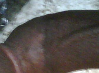 i looking my first white woman i looking my first white woman