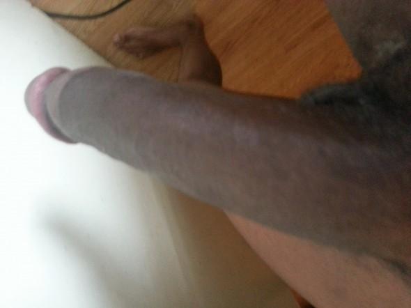 BLACK BULLY OF LONDON