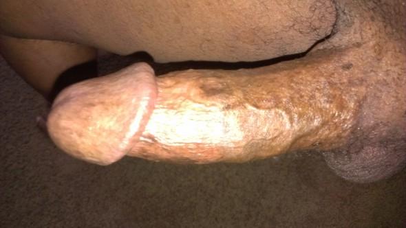 Bull Mastiff...Looking for fun in so cal. White and latina women