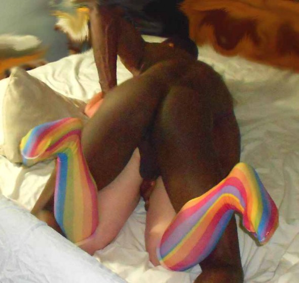 MY WIFE AND HER BULL