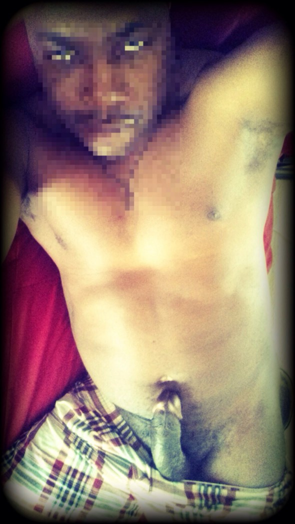 919 Chocolate Bull 919 Chocolate Bull