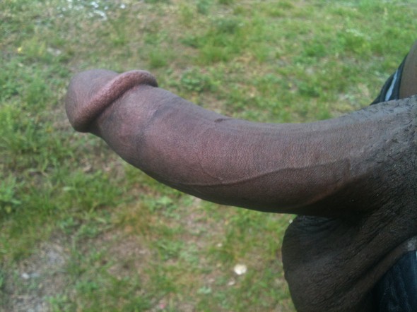 Palm beach county Palm beach county