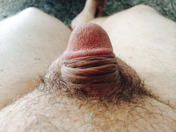 Boyfriend's wee willy winky Boyfriend's wee willy winky