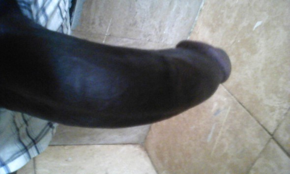 i looking for my first white woman i looking for my first white woman