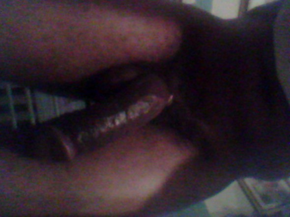 caramel bull caramel bull