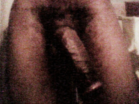 caramel bull caramel bull