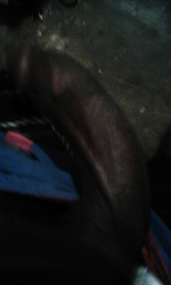 African Bbc African Bbc