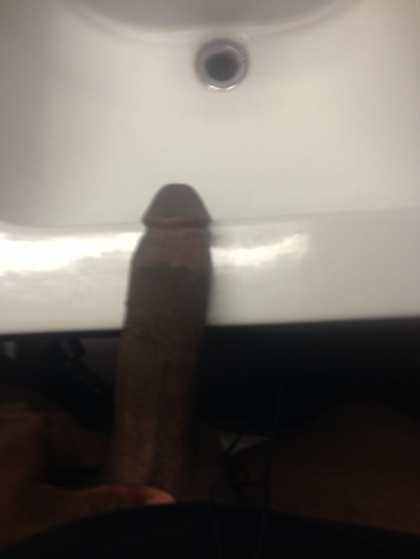 Young Louisiana Cock Young Louisiana Cock