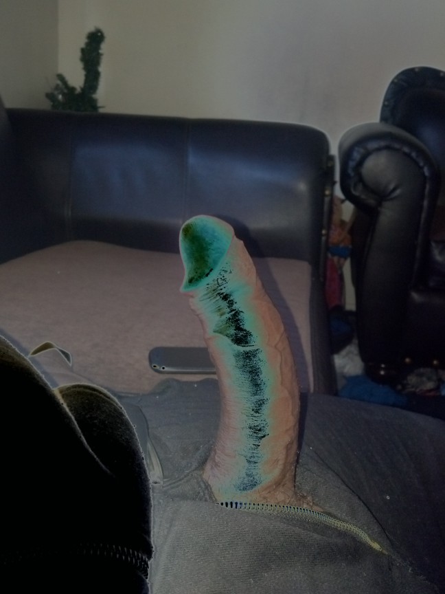 long beach bbc breeder bull