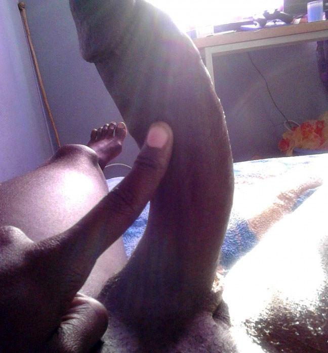 real African Black Cock