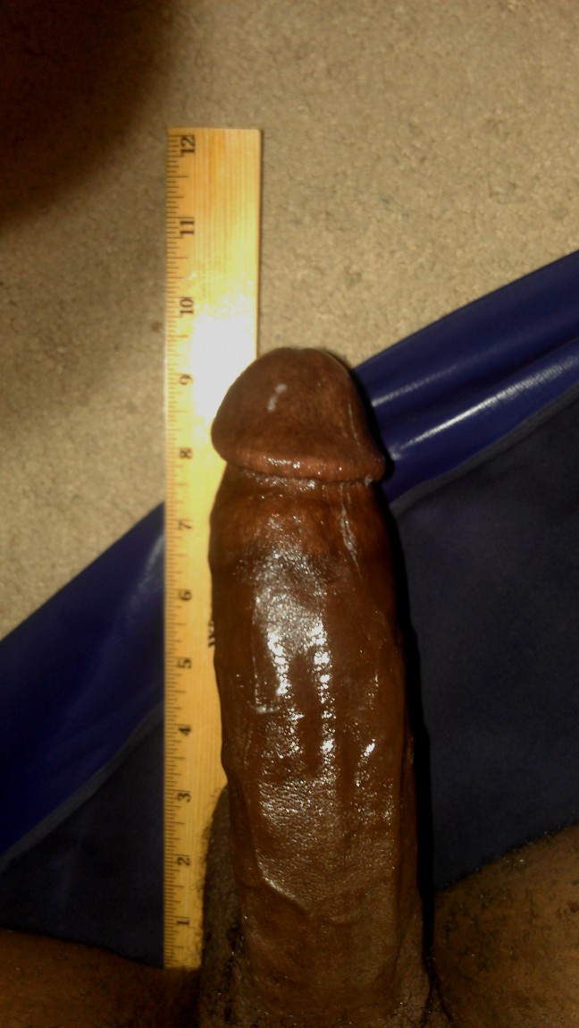 Black Stud looking to please  hotwife