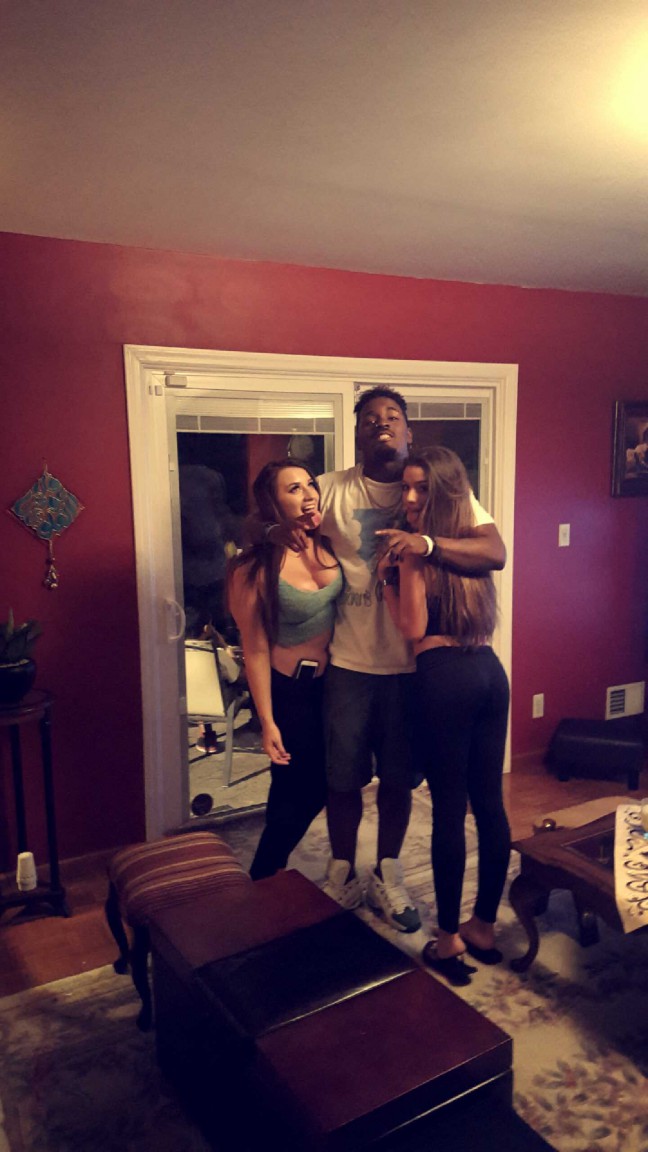 Jersey bull Jersey bull