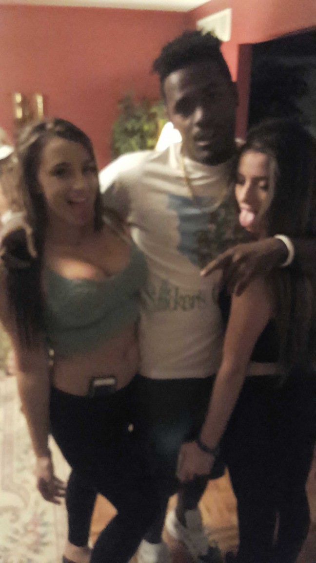 Jersey bull Jersey bull