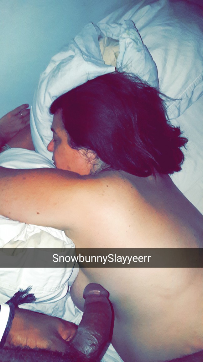 Jersey bull Jersey bull