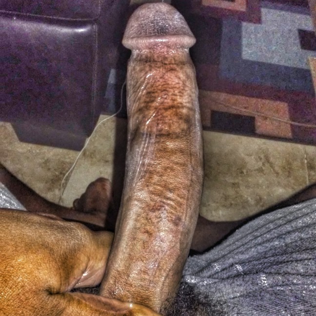 here to pleasure you here to pleasure you