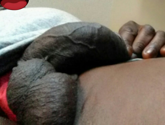 Black Bull Black Bull