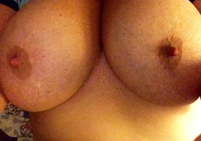 What do you guys think?