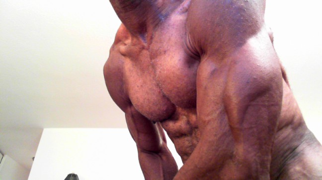 muscular black bull for matuer female. muscular black bull for matuer female.