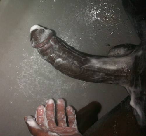 Bahamian Big Black Cock