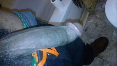 BBC looking for hot white girls in los angeles